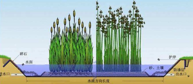 潛流人工濕地填料分類(lèi)