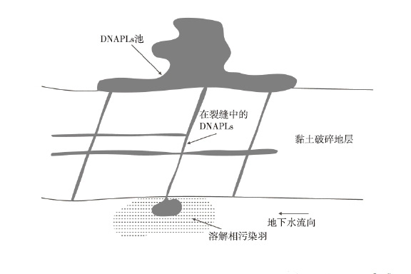 污染地塊土壤修復(fù)-地下水中DNAPL空間分布