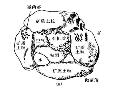 土壤基質(zhì).jpg