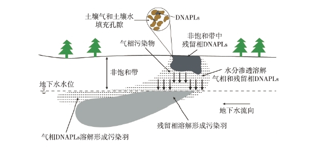 DNAPLs泄漏至地表后，受到重力作用向下遷移